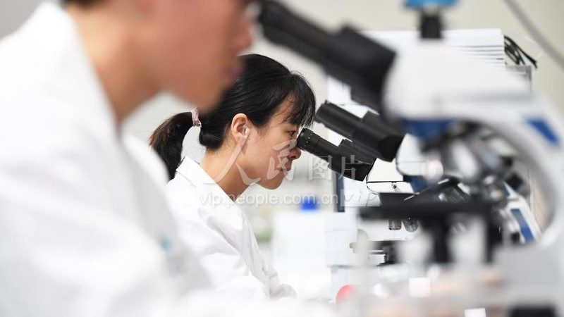 CDMO定制研发项目：揭秘医药创新背后的关键力量