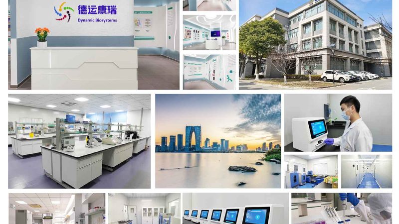 细胞培养基的“适配”之道：揭秘上海细胞培养基适用细胞类型**