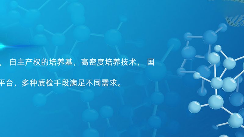 荧光标记引物合成的关键要素与挑战