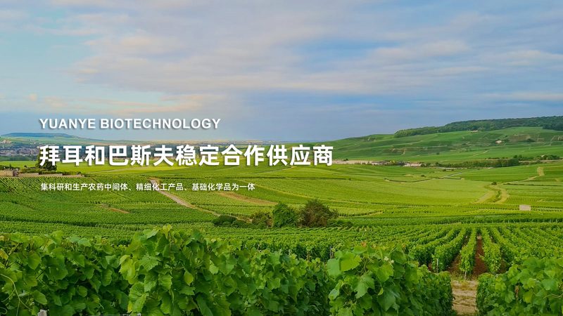 北京生物试剂厂家直销到底省在哪