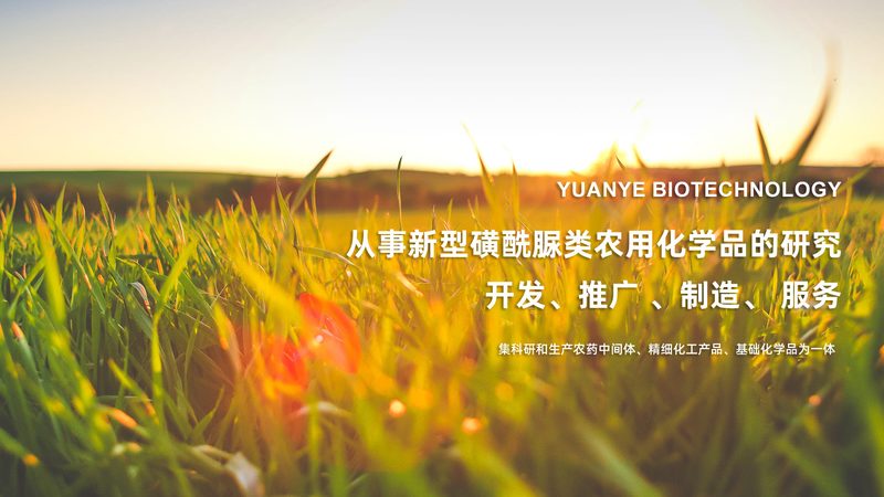 酶制剂加盟代理：靠谱与否，关键看这几点**