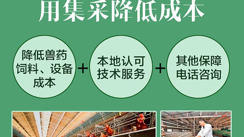 生物制品GMP认证：揭秘背后的合规之道