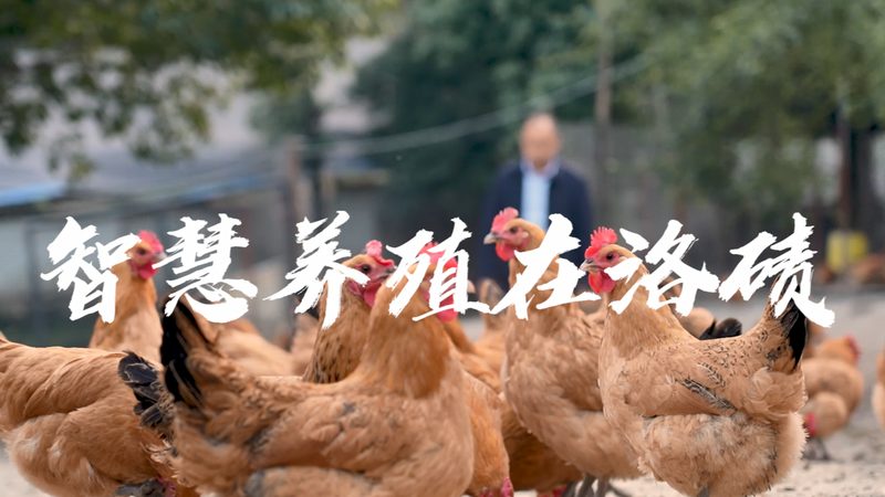 代理公司的技术实力是选择加盟的重要因素。可以从以下几个方面进行考察：