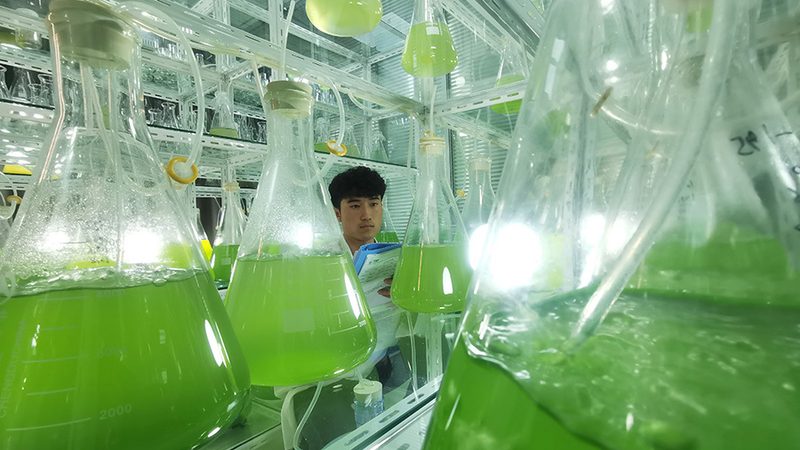 PCR检测Ct值：实验室规范中的关键指标解析
